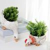 Creative Animal Shape Succulent Planter Pots Artistic Planter Great for Indoor and Outdoor Decors with Drainage Hole