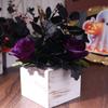 Real Touch Desktop Artificial Flowers Beautiful Lifelike Fake Silk Flowers with Base Handmade Artificial Phalaenopsis