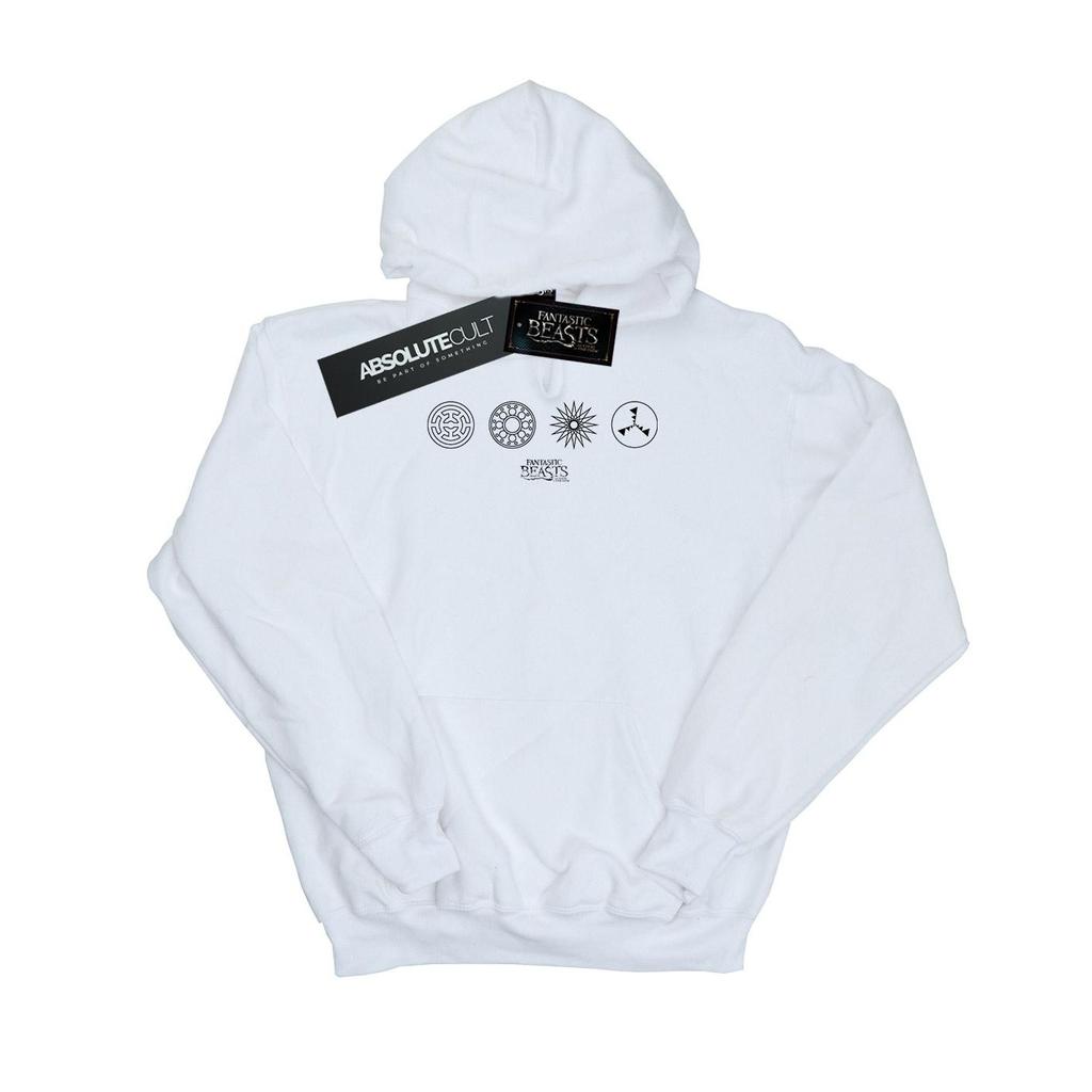 Fantastic Beasts Boys Circular Icons Hoodie