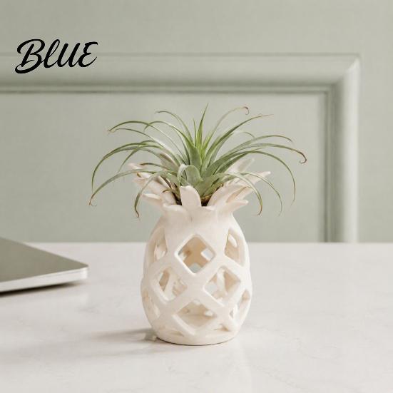 Cute Minimalist Plant Pot Hollow Pineapple Flower Vase for Air Plants 3D Printed Geometric Planter Planter Decorative Desktop Succulents Home Office