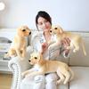Small Simulation Golden Retriever Doll Plush Toy Puppy Dog Doll Kindergarten Baby Sleeping Pillow Doll