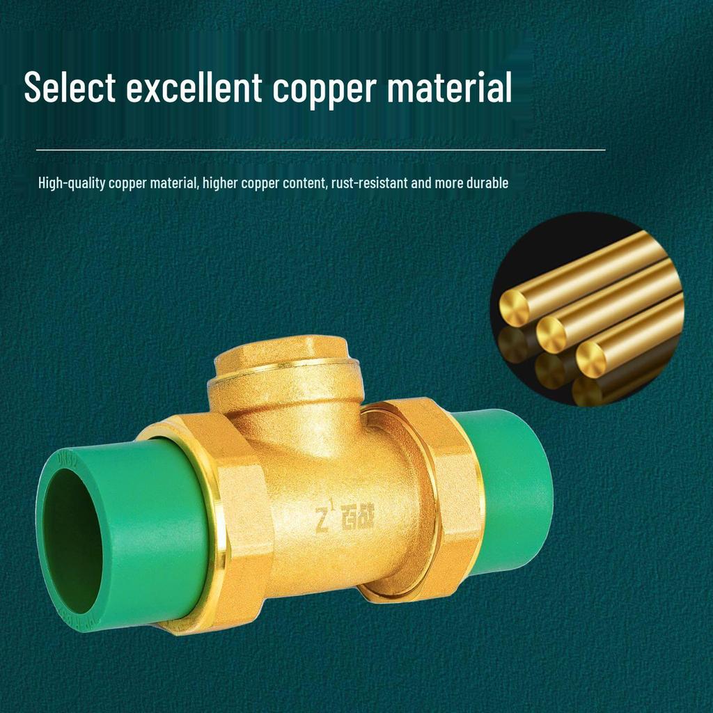 Brass Check Valve: PPR 20 4-point, 25 6-point, 1 Inch 32 Hot Melt Horizontal One-way Anti-backflow Water Pipe.