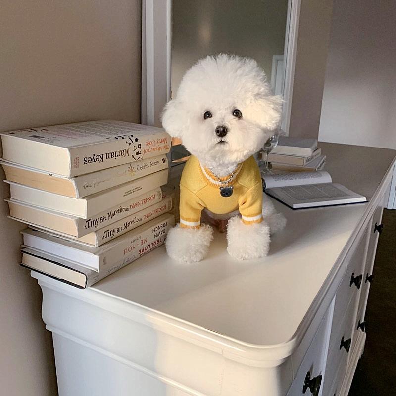Pet Knitted Sweater Teddy Autumn And Winter Clothing Bichon Pomeranian Kitten Cat Yorkshire Warm Dog Clothes