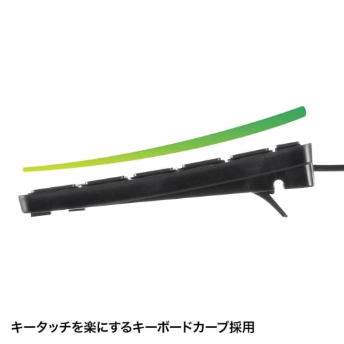Sanwa Supply USB Slim Keyboard with Pantograph Numeric Keypad Black SKB-SL17BKN