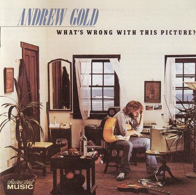 CD ANDREW GOLD   Whats Wrong With This Picture CCM528 Collectors Cho 2005 US Rock Gebruikt