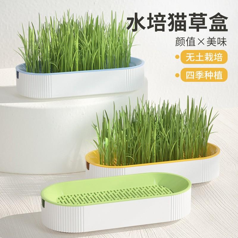 

Grass Hydroponic Box, Snack Box, Hydroponic Box Grass Basin, Seed Free one size