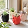 Maceta para Suculentas Impresa en 3D Tamaño Mini Maceta Nueva Maceta para Flores Decoración del Hogar