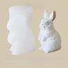 2026 Latest Models Rabbit Shape Aromatherapy Gypsum Crafts Silicone Molds DIY Animal Handicrafts Plaster Ornament Home Mould