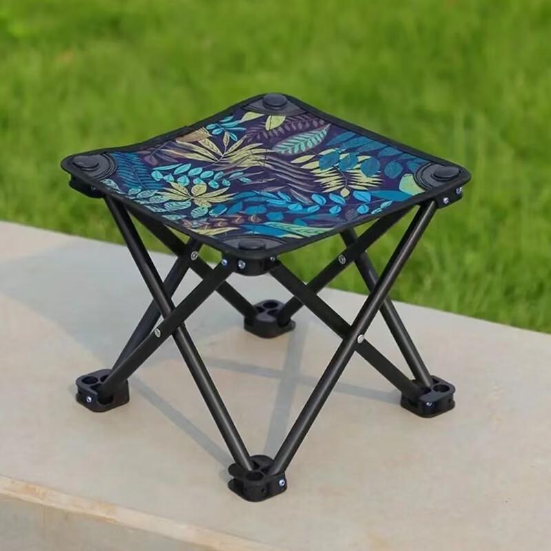 Brangdy Portable Folding Camping Stool