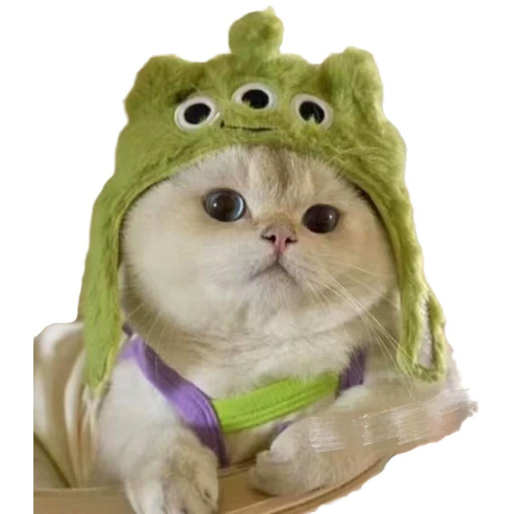 Pet Headgear, Starfish, Snapper Fish Hats, Piggy, Chick, Cat, Bear, Panda Headwear, Funny Costumes