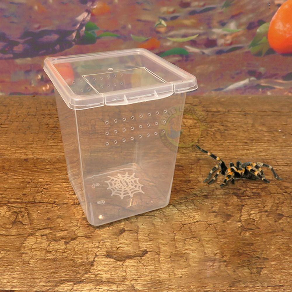 Transparent Household Insect Feeding Box Hatching Tank Reptile Habitat Lizard Living Box