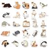 10/30/50pcs Kawaii Cartoon Cat Daily Life Stickers Cute Creative Graffiti Sticker Scrapbook Guitar Phone Laptop Decals