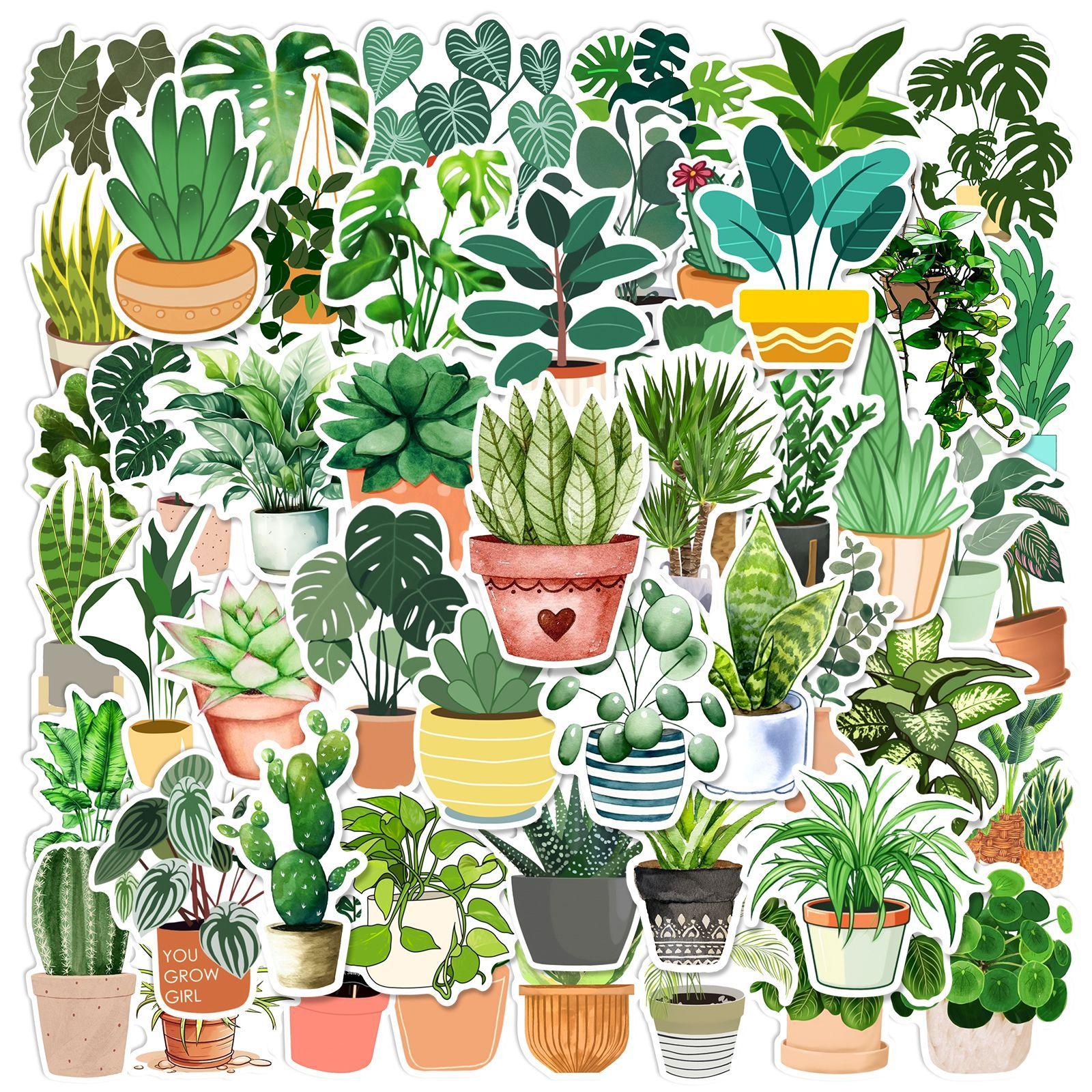 

50pcs Green Potted Plants Graffiti Stickers for DIY Waterproof Scrapbook Travel Luggage Water Bottle Phone Laptop Decals