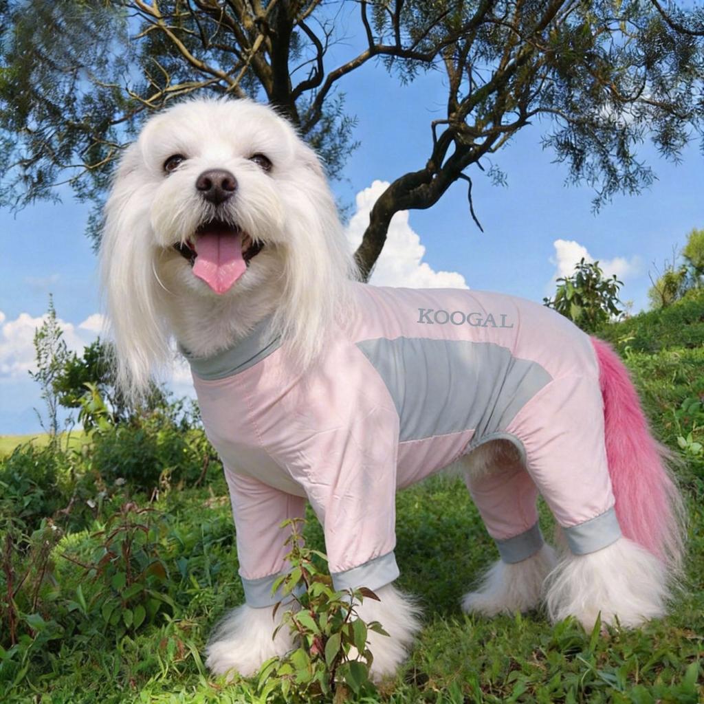 Pet Cool Clothes Dog Clothes Summer Thin Vest Pet Teddy Small Medium and Large Dog Quick Drying Clothes Dog T