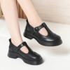 Mary Jane Soft-soled Women's Shoes, Chunky Heel Retro Platform Shoes, Soft Leather Loafers