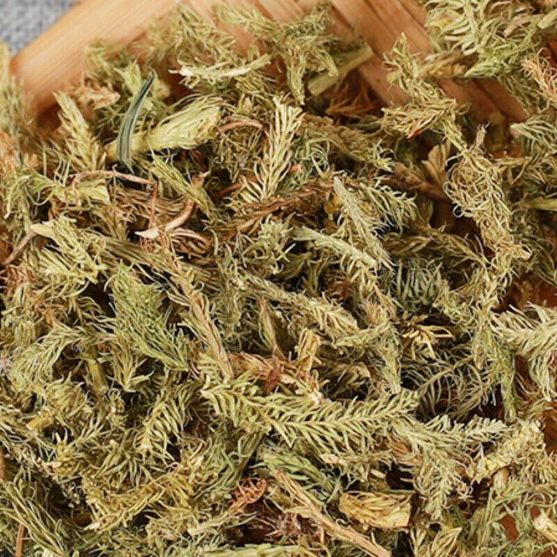 500g Shenjincao Healthy Herbal Tea Drink Shujincao Čínská specialita