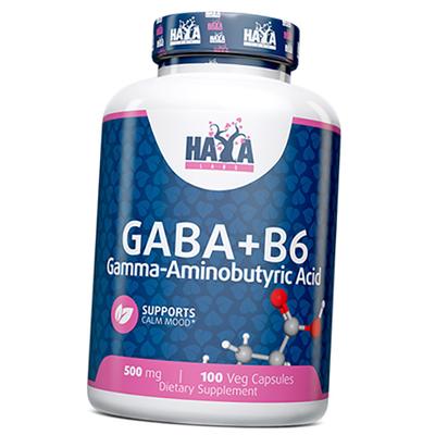 Acide gamma-aminobutyrique avec Vitamine B6, Gaba + B6 500, Haya 100 gélules végétales (72405025)