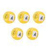 5 Pcs Mahjong Dice Set Chinese Characters North South East West for Games Chinese Teaching Learning Shiny Yellow