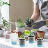1/10PCS Round Nursery Pots with Soft Silicone Base Clear Flower Plant Transplant Pot Reusable Seedling Container Garden Supply