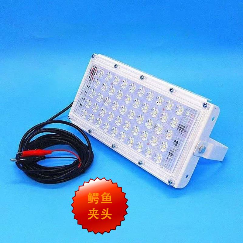 High quality led floodlight,project lamp,ceiling projector light,yard lamp,garden,outdoor light,work lamp,free shipping
