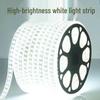 Beigong 36V Low-Voltage Outdoor Architectural LED Strip Light