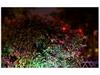 Solar Colorful Outdoor Lawn Spotlight - Automatic Dusk Activation, Ground-Inserted Garden Tree Light