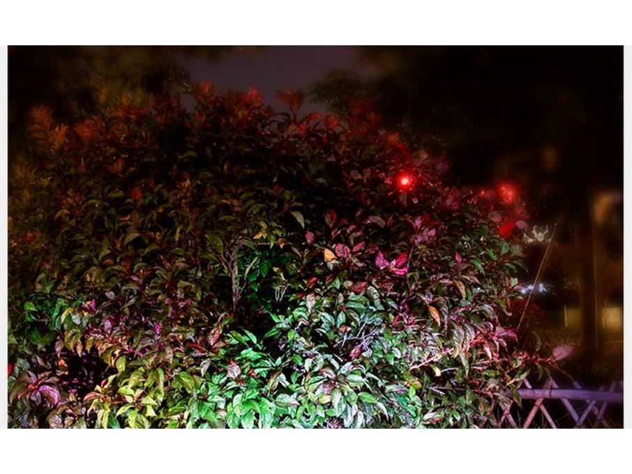 Solar Colorful Outdoor Lawn Spotlight - Automatic Dusk Activation, Ground-Inserted Garden Tree Light