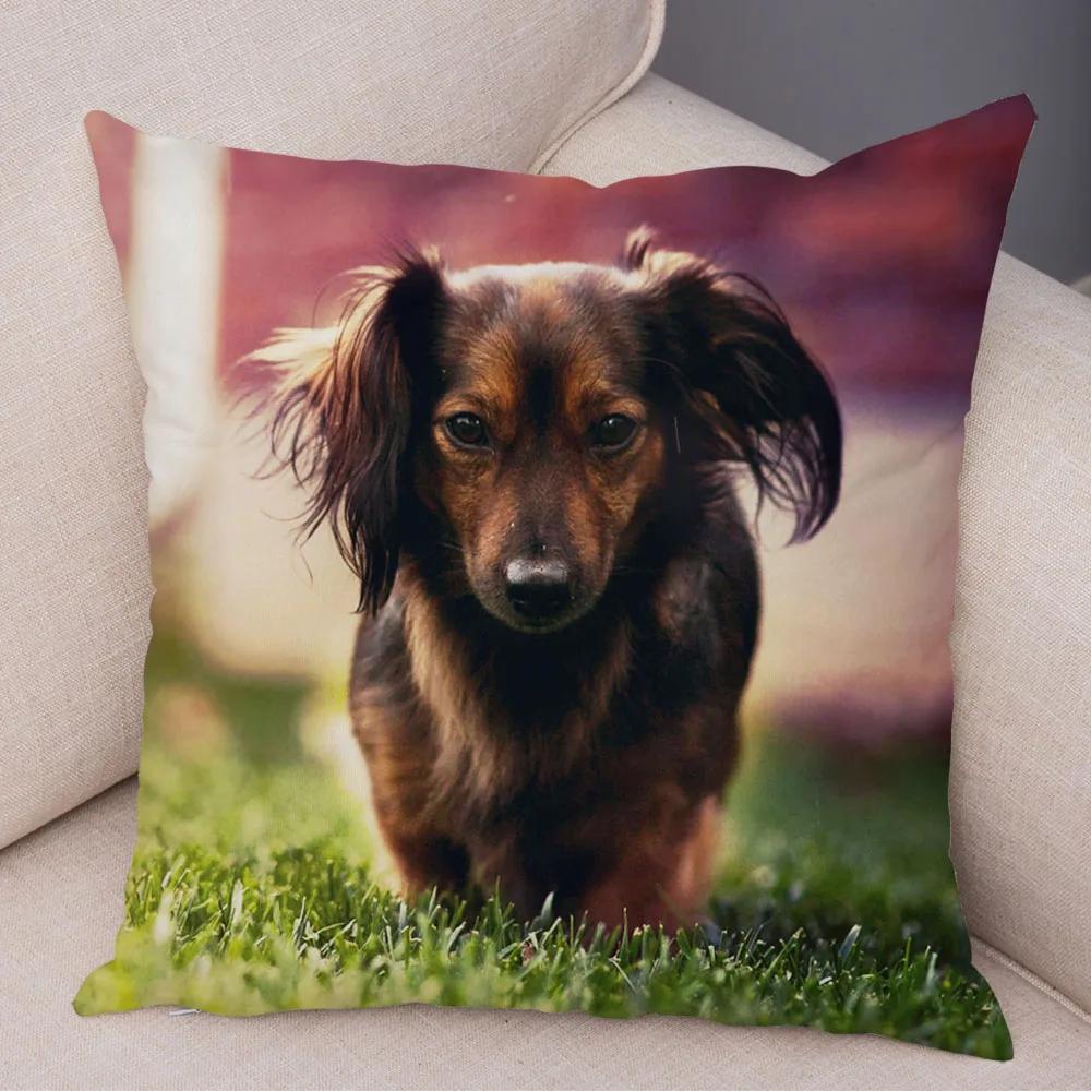 Mini Dackel Hund Kissenbezug Dekor Haustier Tier Kissenbezüge Superweicher Plüsch Kissenbezug für Sofa Zuhause Kinderzimmer 45x45cm