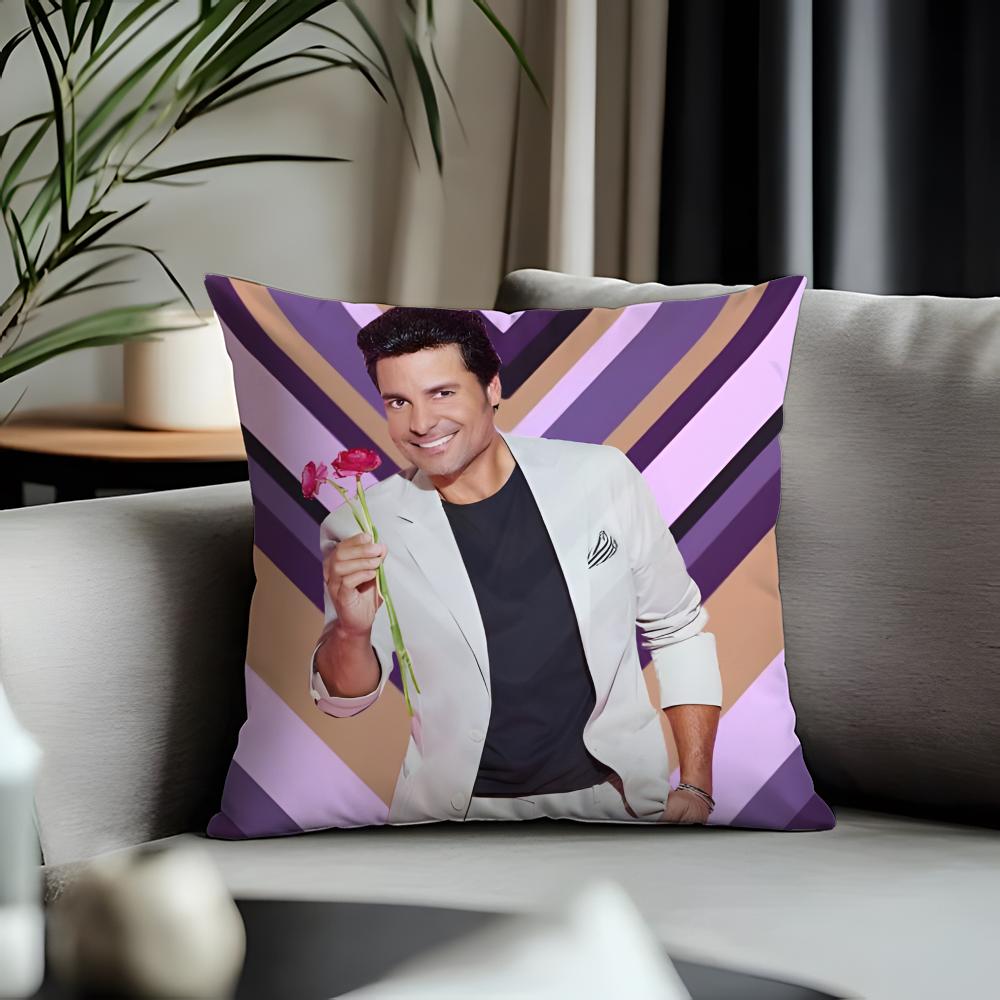 Hot CChayanneing Cushion Cover Antidustmite Pillowcase Invisible Zipper Silky Short Plush Sofa Cushion Cover