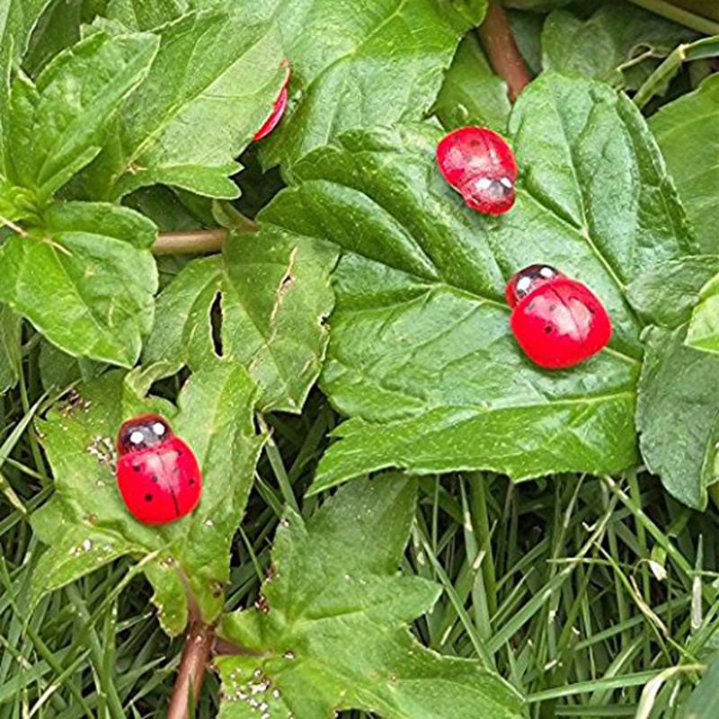 100 Pezzi Resina Api Piccole Coccinelle Artigianato Piccole Figure di Animali Coccinella Paesaggio Rosso Decorazione Coccinella Ornamenti Giardino Fai da Te