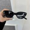 Fashion Cat Eye Sunglasses Women Men Brand Designer Cool Sun Glasses Female Outdoor Colorful Travel