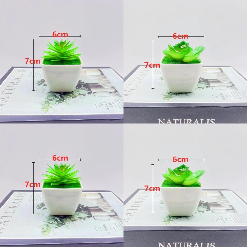 Artificial Succulent Plant With Pvc Material For Home Decor And Gift Ideas