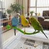Plastic Bird Perch Stand Simulation Bird Parrot Play Rack Bird Cage Toy  Pet Bird Supplies