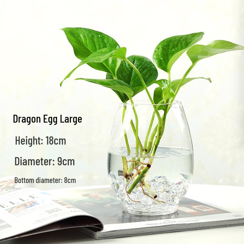 Modern Minimalist Hydroponic Glass Vase for Pothos & Green Plants - Living Room Desk Decor