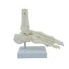 Produse pentru școală – Echipament pentru instruire