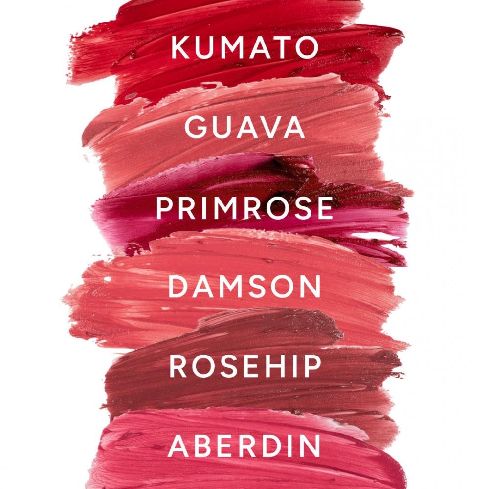 Lixr Beauty LixStick  Creamy Lip +cheek Tint Stick 0.18 Oz 5.2 G Primrose Wine Berry