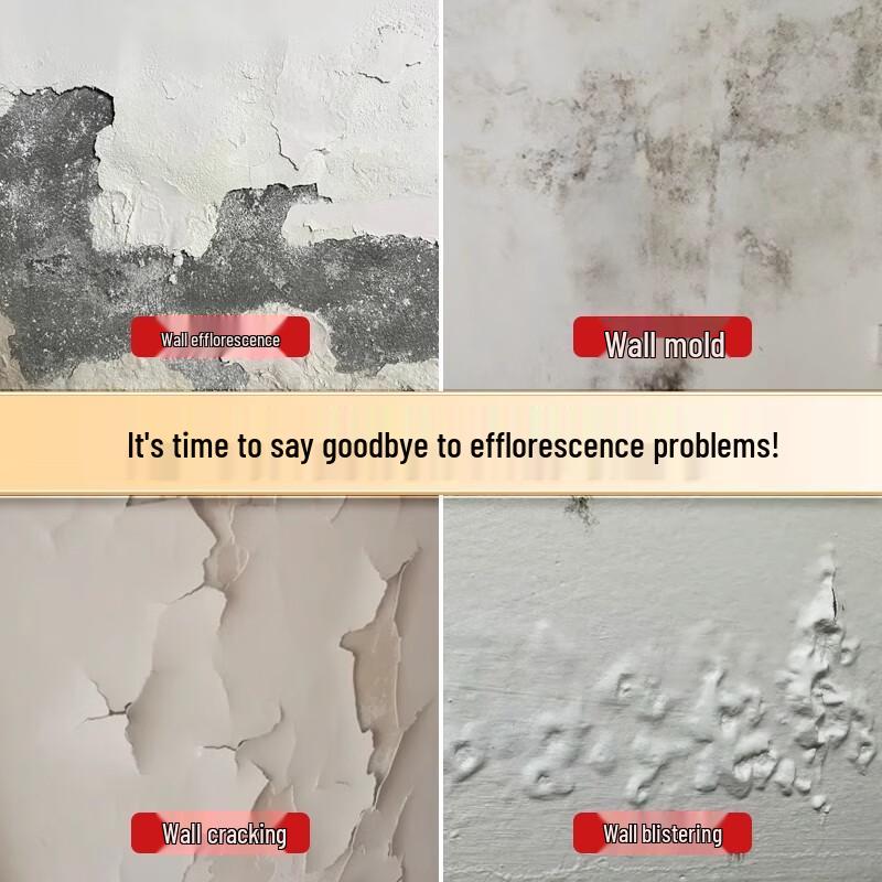 Anti-Alkali Wall Repair Putty and Sealing Primer