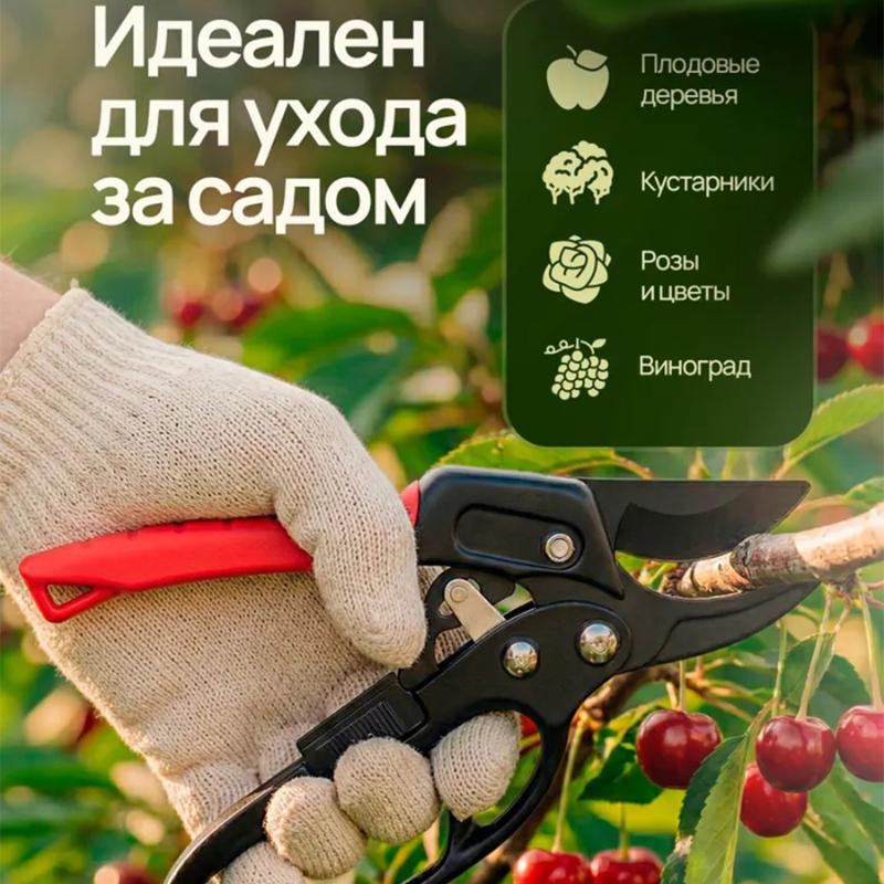 Stainless Steel Pruning Shears For Gardening Powerful Branch Cutter Heavy-Duty Garden Scissors Multi-Purpose Fruit Branch Pruner