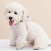 Folding Pet Bowl Portable Dog Water Bowl Foldable Pet Feeding Dish Collapsible Cat Bowl with Carabiner for Travel Outdoor Hiking