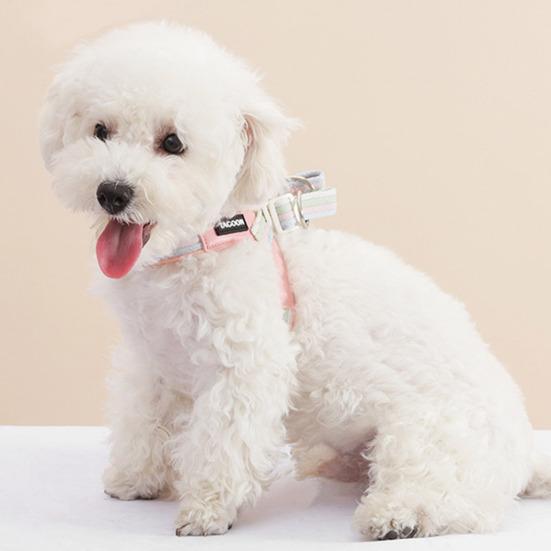 Folding Pet Bowl Portable Dog Water Bowl Foldable Pet Feeding Dish Collapsible Cat Bowl with Carabiner for Travel Outdoor Hiking
