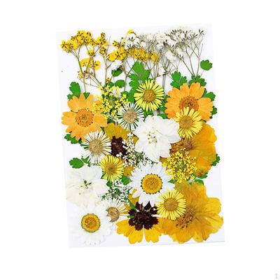 Dried Flwoers Pressed Leaves Floral Crafts Embellishments for Nails Arts Wedding Phone Case