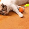 Bite Resistant Cat Interactive Ball Rotating Smart Kitten Chewing Toy  for Dogs/Cats
