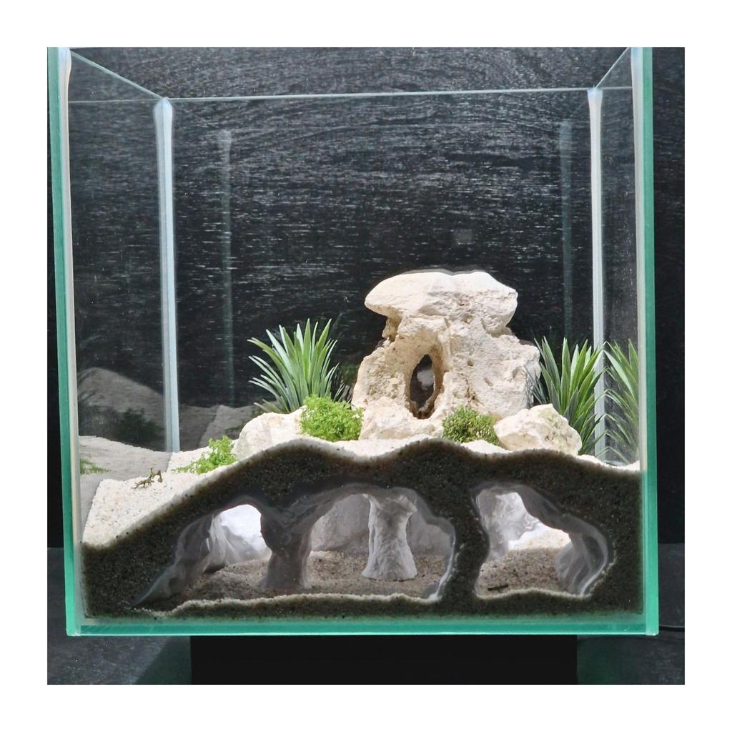 Natural Aquarium Cave: Fish & Shrimp Habitat and Breeding Nest Decoration