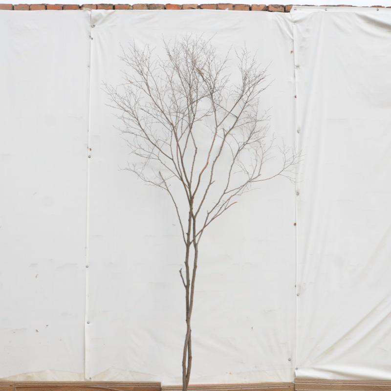 Künstlicher Baumzweig und Stamm Dekorationsstück