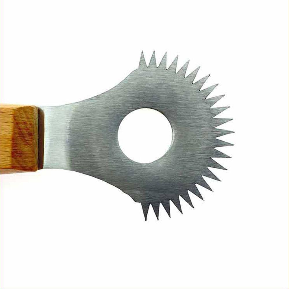 Stainless Steel Coconut Planer Sharp Coconut Grater Fruit Spoon Planer  Fresh Coconut Meat