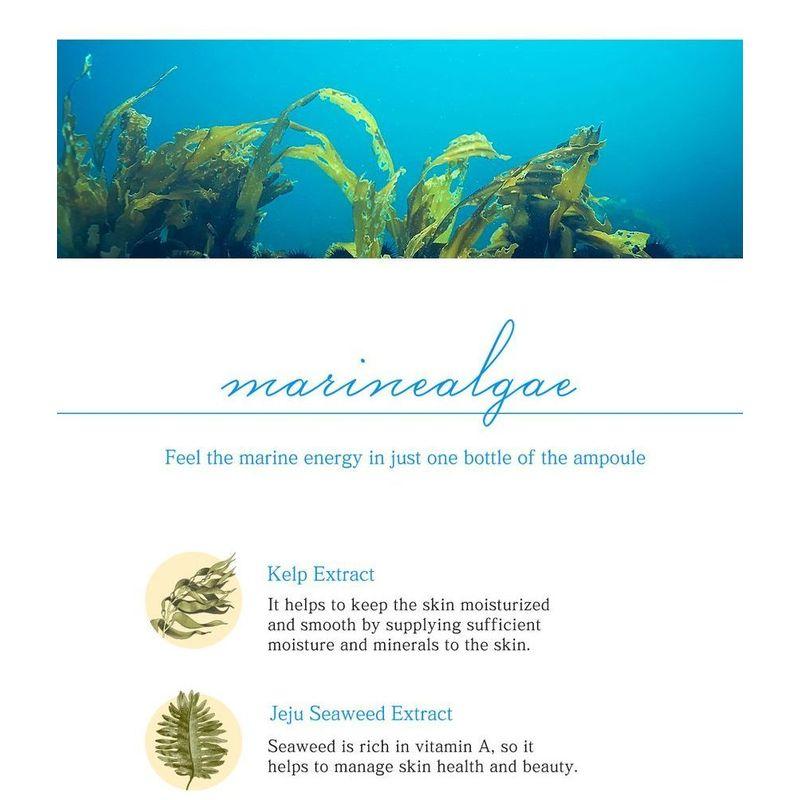 URIID - Marine Energy Ampoule