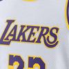 Nike NBA Los Angeles Lakers LeBron James Association Edition Swingman Dri-FIT Jersey White Men Streetwear DN2081-103