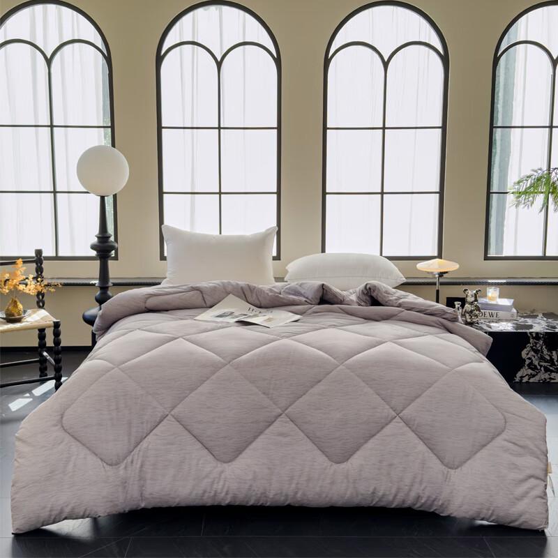 Baifudi All-Season Ultra-Soft Fiber Quilt