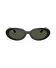 Leibaen Rb2223F Sunglasses - 601/31 / 0Rb2223F60131