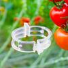 50Pcs Plastic Plant Support Clips Reusable Garden Climbing Plants Securing Vegetable Stems Tomato Grape Vine Fixing Trellis Clips